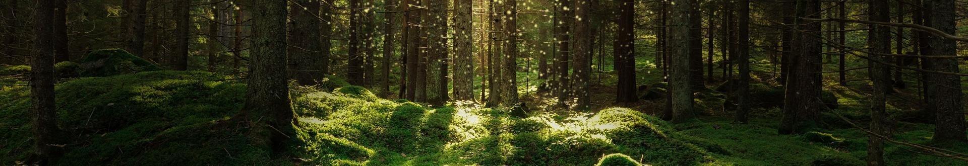 Poradnia Leczenia Uzależnień