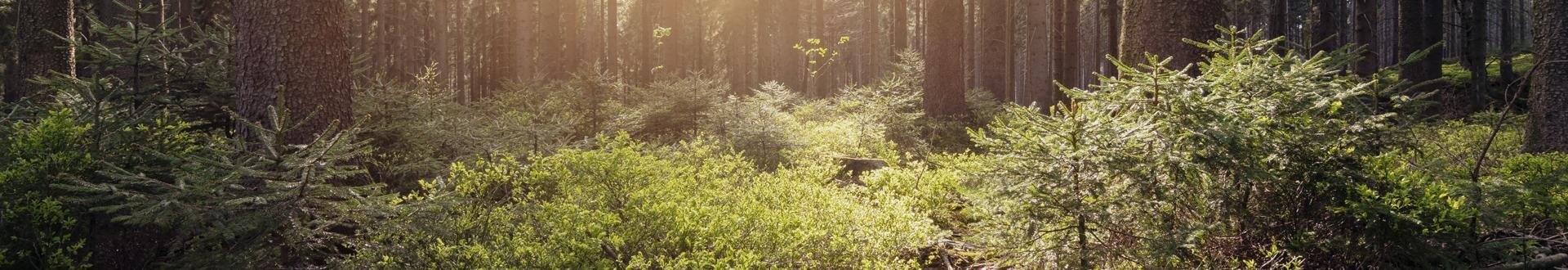 Poradnia Leczenia Uzależnień