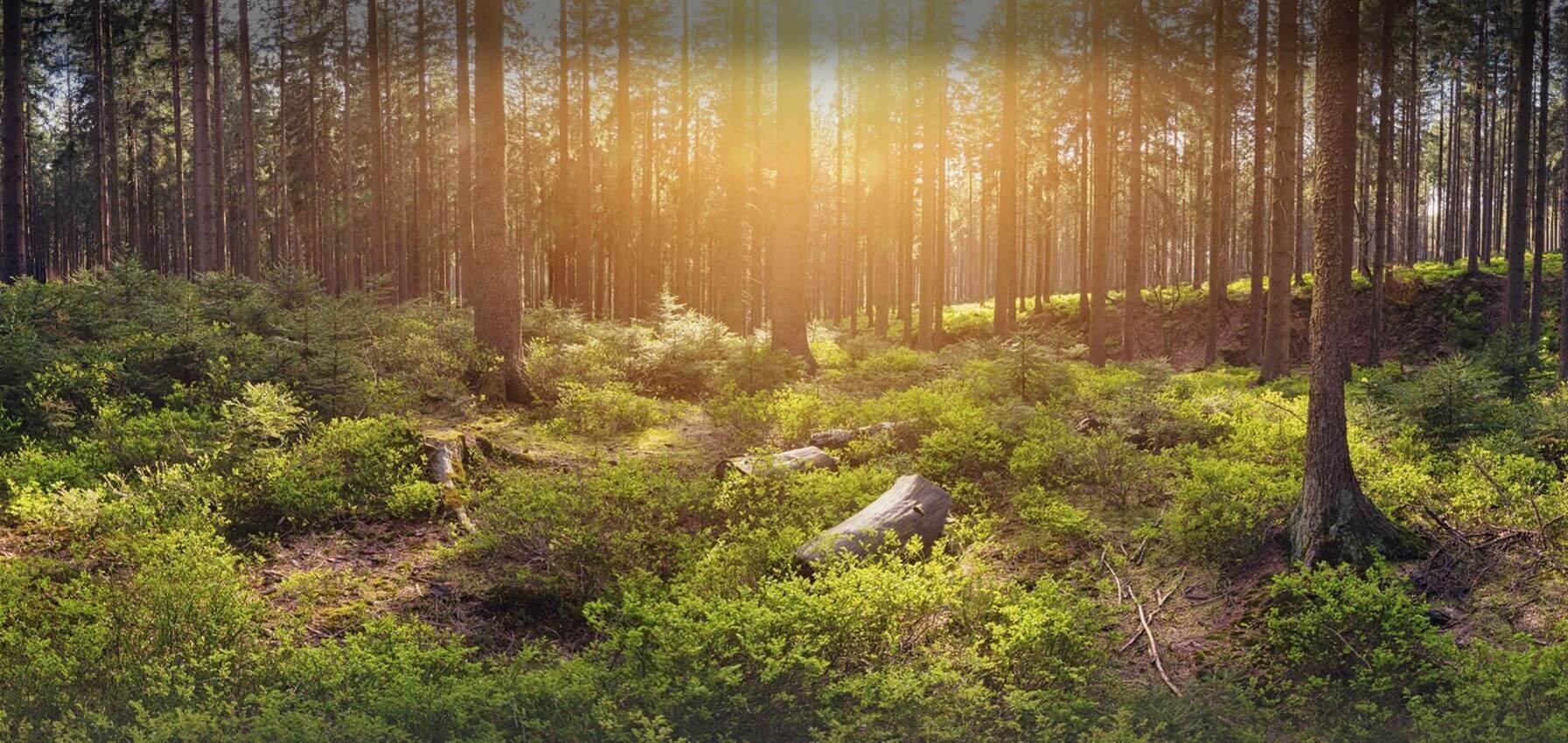 Poradnia Leczenia Uzależnień - Slajd #1